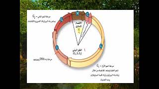 أحياء - الفصل الدراسي الأول - الوحدة السادسة - النمو الخلوي