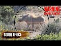 Warthog Hunting with the Bushbuck 45 Airgun