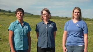 Native Plants and Noxious Weed Management