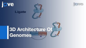 Hi-C: Method To Study 3D Architecture Of Genomes l Protocol Preview