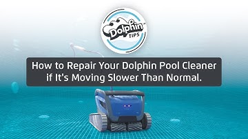 How to Repair Your Dolphin Pool Cleaner if It