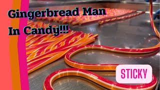 Catching The Gingerbread Man In Candy! |Sticky|