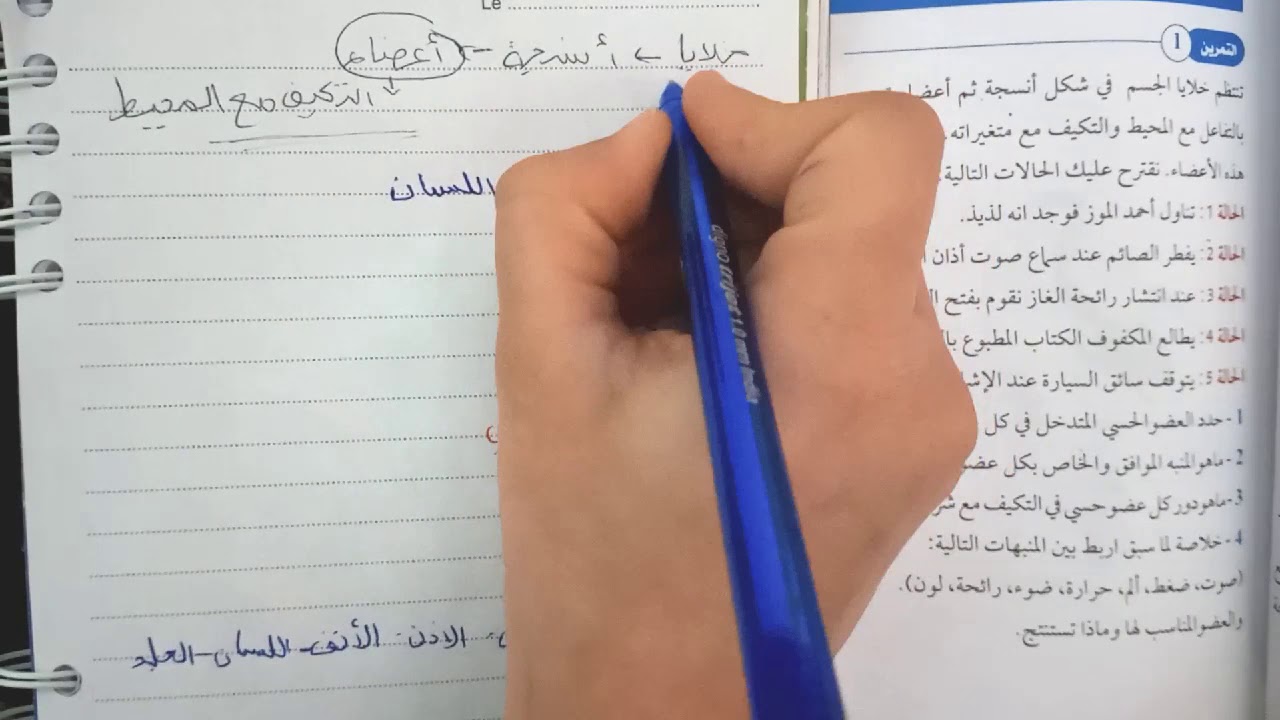 تمرين اول شامل حول تسمية الوثائق في العلوم و منهجية حل تمرين
