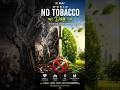 🚭 एक सिगरेट... और जिंदगी आधी! | World No Tobacco Day #worldnotobaccoday
