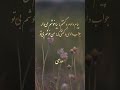 سعدی سعدی شیرازی شعر غزل ادبیات سعدی سعدی شیرازی شعر غزل ادبیات
