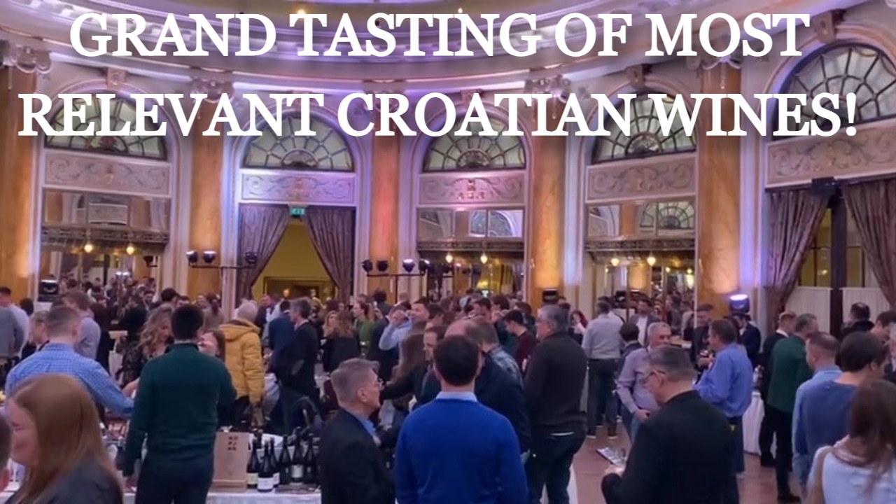 Vinocom Zagreb 2025: Showcase of Croatian Wine Scene