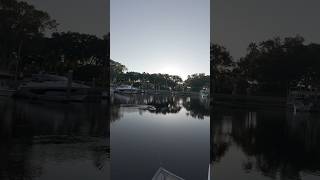 GIANT MARINA TARPON #fishing #tarpon #snook #redfish #outdoors #shrimp #mulletrun #wild #dinosaur