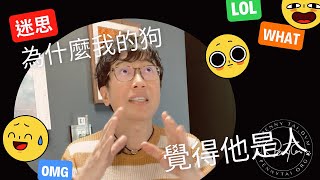 我的狗覺得自己是人！ 你的狗也會覺得自己是人嗎？你覺得你的狗是不是人？ by 戴更基醫師 6,375 views 1 year ago 6 minutes, 23 seconds