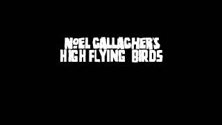 Noel Gallagher&#39;s High Flying Birds - Record Machine (Extended Version)