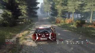 Dirt Rally 2.0 (Learning how to use a wheel)