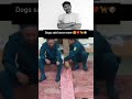 Respect button 👏❤️ #reels #trending #shorts #viral #cute #dog #doglover #explore