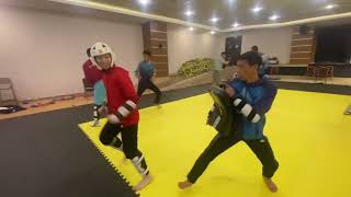 Sparing target training Taekwondo WT