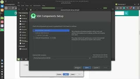 Install Android Studio Linux Mint Bionic 19 04