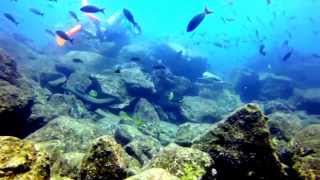 Coiba Feb 2015 D29A024F 3979 4A1C 9E2E 72448B56Cc84