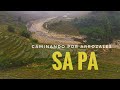 CAMINANDO EN LOS ARROZALES DE SAPA | SAPA VIETNAM | Terrazas de Arroz Vietnam