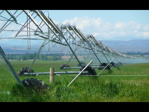 Vídeo: 8 Maneiras Divertidas De Se Voluntariar Para Mercados De Agricultores - Rede Matador