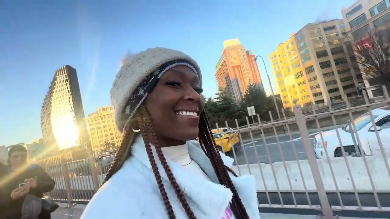 Brooklyn Bridge New York & Dyker Heights Visit 