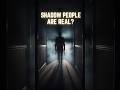 Shadow People Are Real? 😳 Worldwide Sightings Explained #shorts #darkversesaga