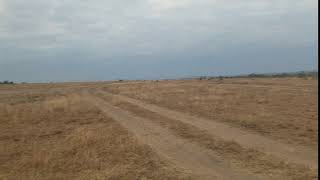 Plots for sale in Ndovoini, 10km off Kangundo road @ Kes 300k, 4 months installments