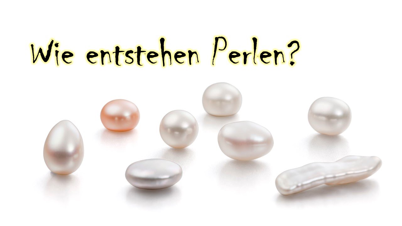 Wie entstehen Perlen? - YouTube