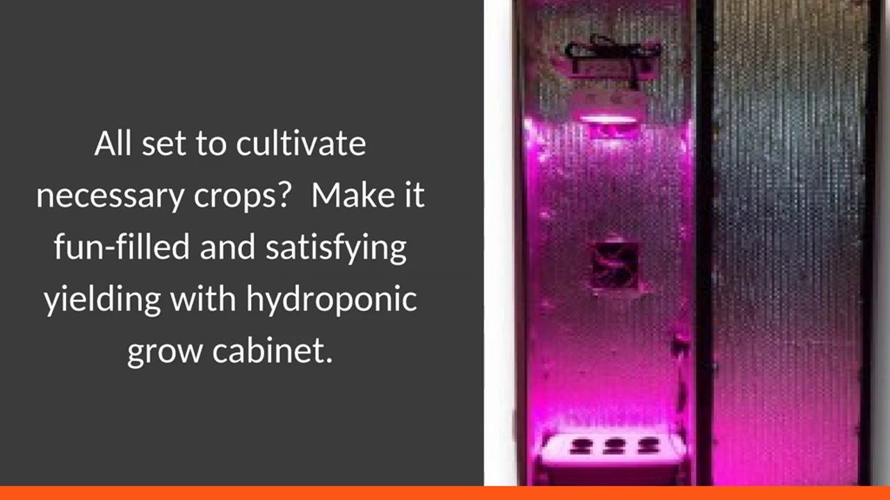 Grow Plants Indoor With Hydroponic Grow Box Grow Cabinet Youtube