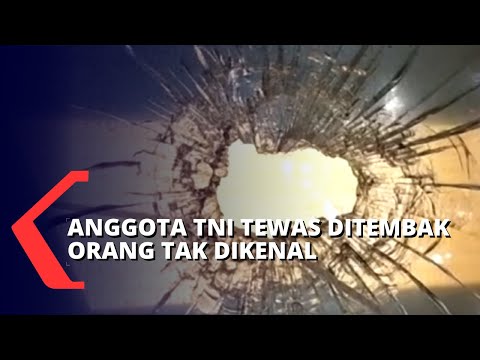 Video: Sebagai Hari Pedagang Disambut