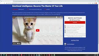 WordPress Developer Build Premium Themes & Plugins Part - 16 Extra Design - Part 1