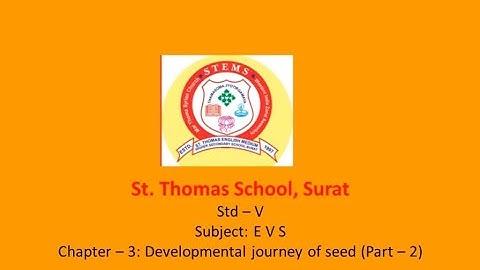 Std 5 # EVS # Developmental journey of seed # Part 2