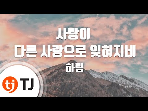 TJ노래방 사랑이 다른 사랑으로 잊혀지네 하림 Harim TJ Karaoke