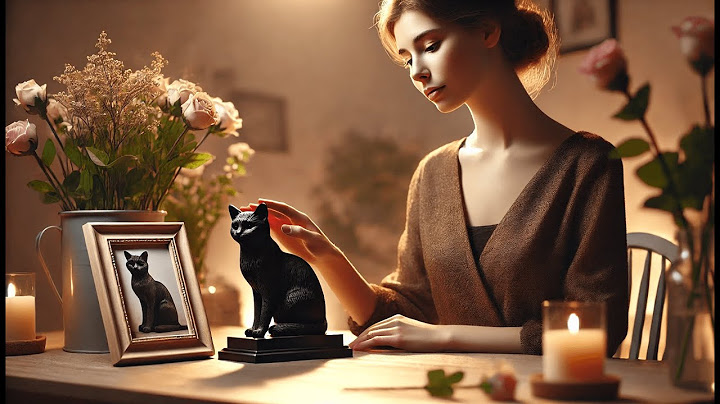 🐈 BORLESTA Cat Memorial Gifts for Loss of Cat, Pet Memorial Gifts | Best Black Cat Memorial 🖤