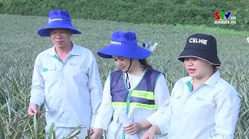 Nhân rộng mô hình Khuyến nông cộng đồng hoạt động hiệu quả