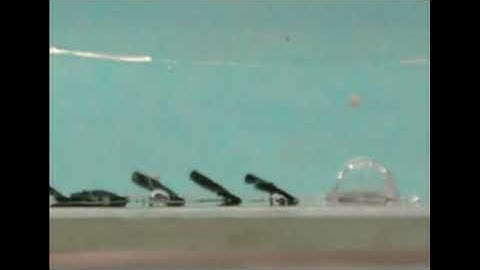 Polymer and Iron composite fibers creating flow at low Re via magnetic force