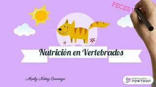 Nutrición vertebrados- peces mamíferos
