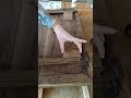 So wird aus einer 100 Jahre alten Tischplatte eine Garderobe mit niedlichen Hundepopos!