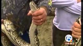 Famous Ban on Burmese pythons announced Net Worth