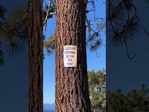 🏖️ Bodypainting at a Lake Tahoe nudist beach