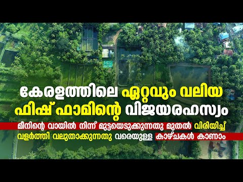കേരളത്തിലെ ഏറ്റവും വലിയ ഫിഷ്‌ ഫാമിന്റെ വിജയരഹസ്യം അറിയാം, Rosen Fisheries Thrissur, Krishiyugom