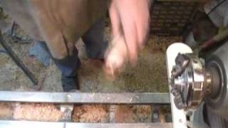 Tool handle segment 5