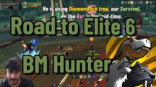 Road to Elite 6 - Beast Mastery Hunter Solo Shuffle, Midnight PvP