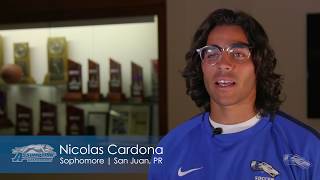 Assumption Men's Soccer 2018: Inside the Program