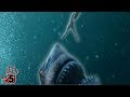 Top 5 Scariest Horror Movies From The Deep - Part 2