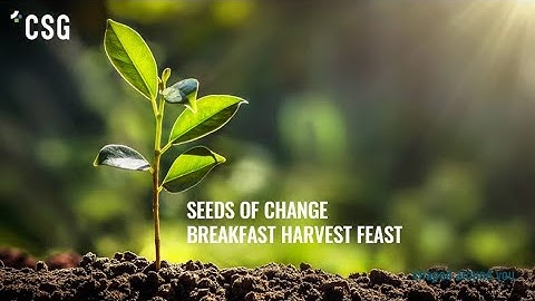 CSG SKILLS Breakfast Harvest