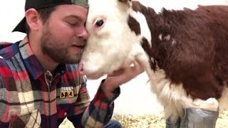 Rescued Animals Receiving Love For The First Time