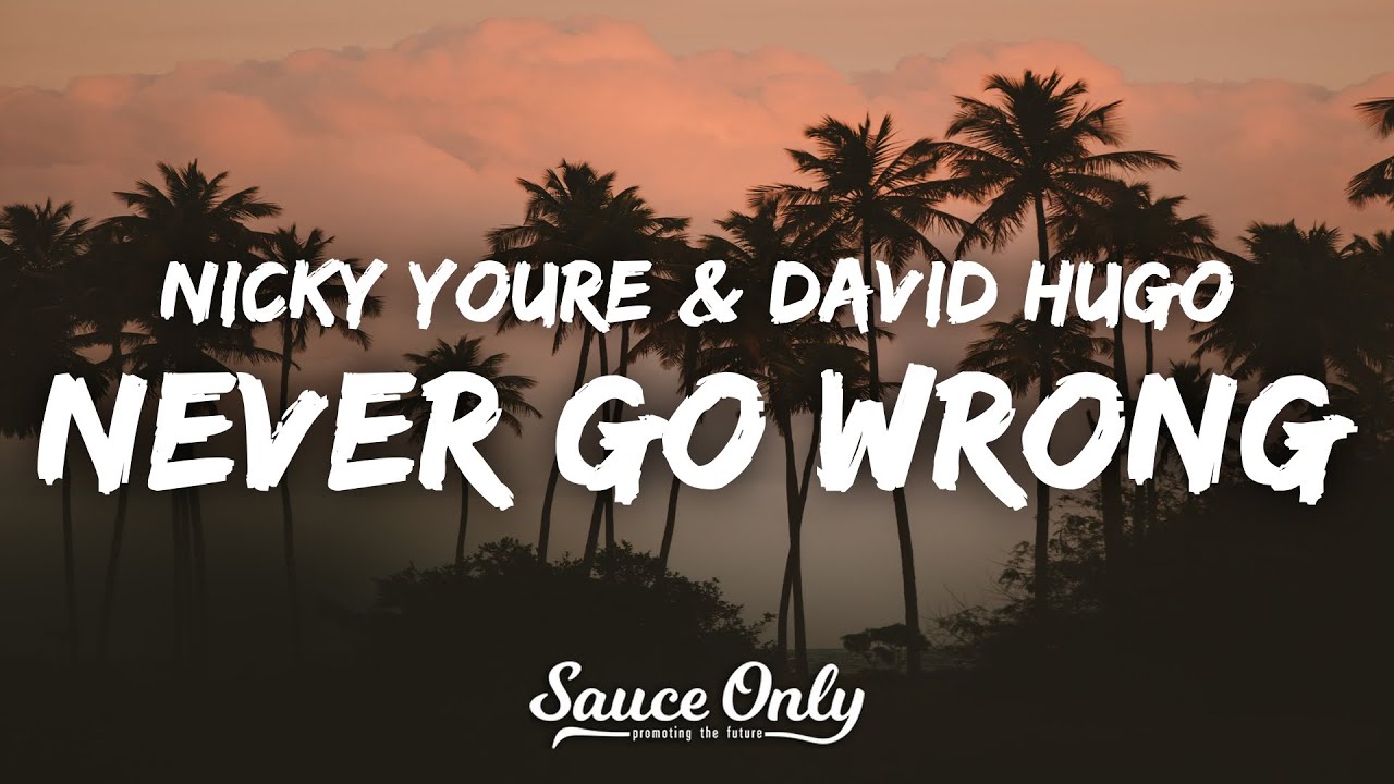 Nicky Youre & David Hugo - Never Go Wrong (Lyrics)