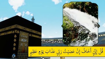 آياتٌ مختارةٌ مِنَ الذكرِ الحكيم سورةُ الزمر (الآية ١٣)#أهل_القرآن_الأبرار