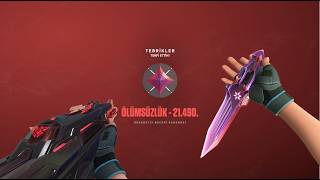 aim dump 2