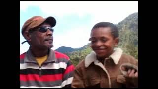 Walu Pukupuku- Pululukas Band