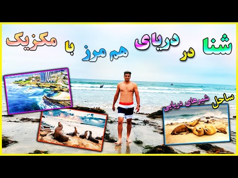 شنا کردن در زیبا ترین بندر آمریکا و هم مرز با مکزیک La Jolla Beach ولاگ مهاجرت به شناکردن