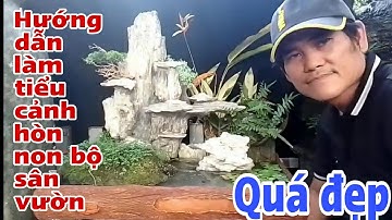 Hướng dẫn làm tiểu cảnh hòn non bộ sân vườn