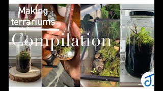 Making terrariumsCOMPILATION